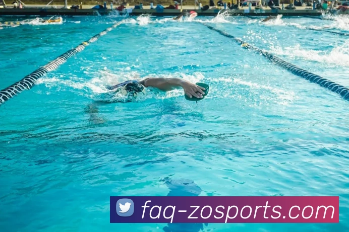 App Interface Preview