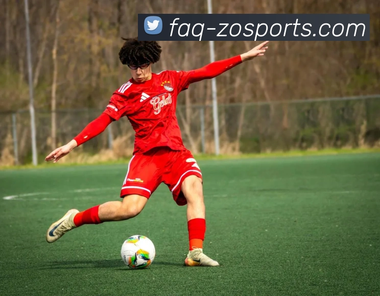 中欧体育APP 封面图